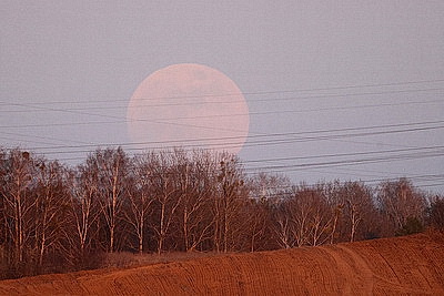 Розовое полнолуние в небе Беларуси