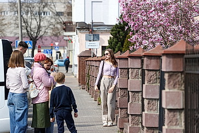 В Бресте распустилась магнолия
