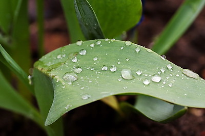 ФОТОХРОНИКА начинает новый информационный день