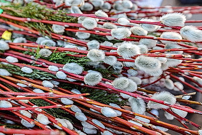 Православные верующие отметили Вербное воскресенье