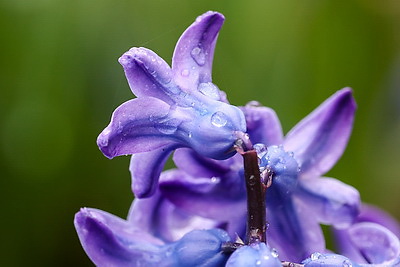 ФОТОХРОНИКА начинает новый информационный день