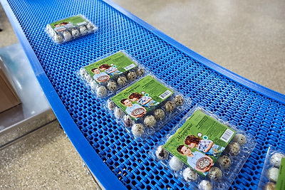 Турчин посетил Солигорскую птицефабрику