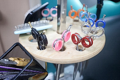 Школьник из Гродно нашел себя в груминге после первой стрижки своего йорка