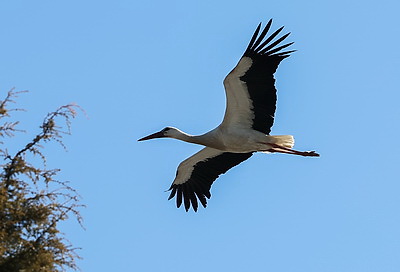 ФОТОХРОНИКА начинает новый информационный день