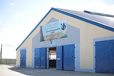 Сельское хозяйство и \"кондитерка\". Лукашенко посетил Наровлянский район