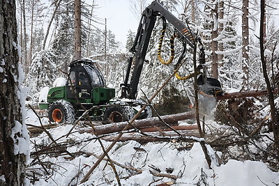 При разработке труднодоступных лесосек планируют заготовить около 600 тыс. куб.м древесины
