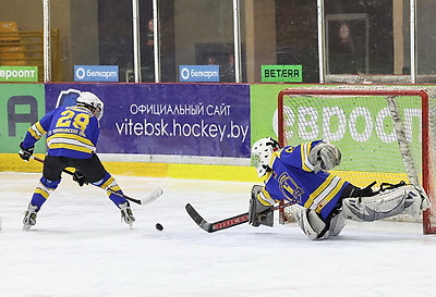 В Витебске завершился областной турнир по хоккею \"Золотая шайба\"