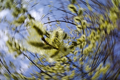 ФОТОХРОНИКА начинает новый информационный день