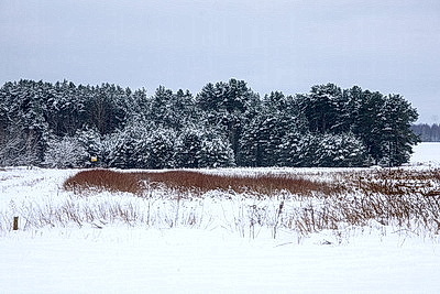 Зимний пейзаж в Докшицком районе