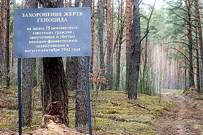 Останки не менее 75 мирных граждан, убитых в 1942 году, перезахоронили в Ветковском районе