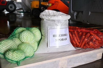 Русый о работе автолавок и сельмагов: люди должны иметь возможность купить все, что они хотят