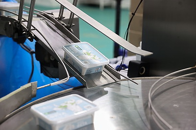 Модернизация производств, инвестиции, туризм. Ломский о точках роста Брестской области