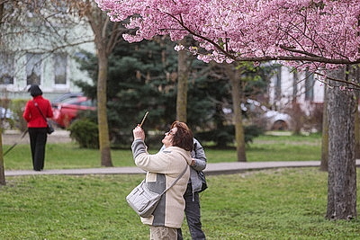 Яркие краски брестских улиц