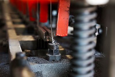 Что делают в Минской области для снижения количества ДТП с дикими животными