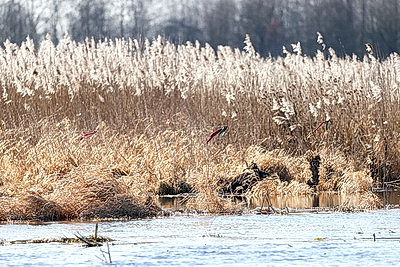 Ждать ли большой воды этой весной: МЧС о паводковой ситуации