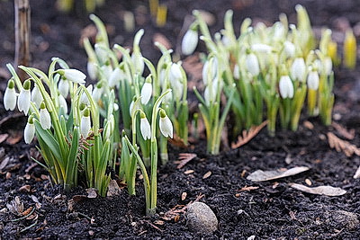 ФОТОХРОНИКА начинает новый информационный день