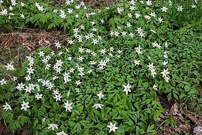 ФОТОХРОНИКА начинает новый информационный день