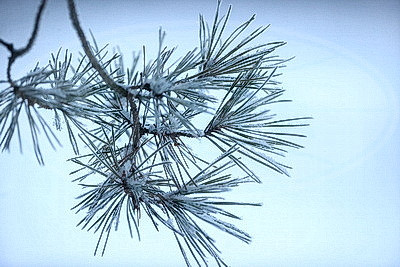 ФОТОХРОНИКА начинает новый информационный день