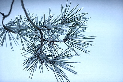 ФОТОХРОНИКА начинает новый информационный день