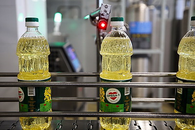 Ученый: рапсовое масло входит в тройку лучших растительных масел для питания человека