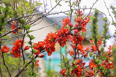 Яркие краски брестских улиц