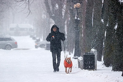 ФОТОХРОНИКА начинает новый информационный день