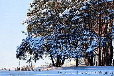 Зимний пейзаж