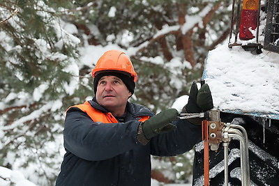 \"Шишки на вес золота\". Как в Белыничском лесхозе заботятся о будущем леса