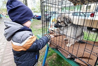 В Витебске прошла маевка \"Мир! Труд! Май!\"