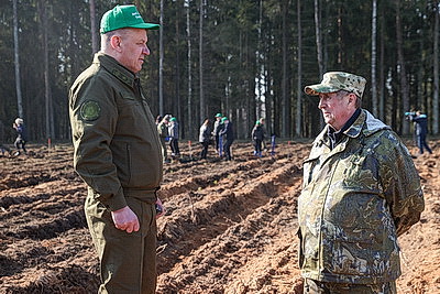 Члены Совета Республики приняли участие в акции \"Лес! Дабро! Парадак!\" в Столбцовском районе