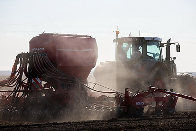 В Минской области весенний сев начали с ярового ячменя