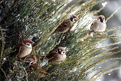ФОТОХРОНИКА начинает новый информационный день