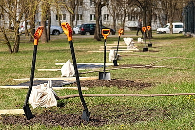 Аллея к 25-летию ШОС заложена в Минске