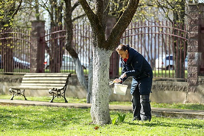 Республиканский субботник: команда БЕЛТА помогла навести порядок в социальном пансионате \"Малиновка\"