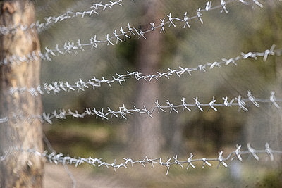 Обмен задержанными по формуле \"пять на пять\" провели на границе Беларуси и Польши