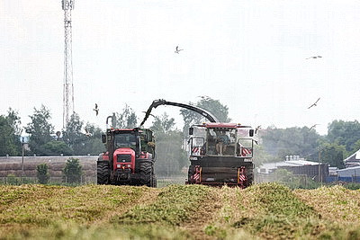 На агрокомбинате \"Южный\" завершается уборка трав первого укоса