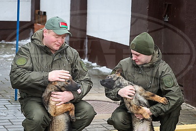 Здесь человек и собака понимают друг друга \"с первого взгляда\". Как несут службу кинологи в Бобруйском отделе Департамента охраны