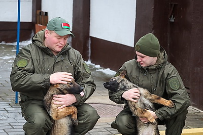 Здесь человек и собака понимают друг друга \"с первого взгляда\". Как несут службу кинологи в Бобруйском отделе Департамента охраны