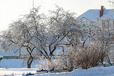 Зима в белорусской глубинке
