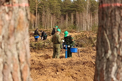Навести порядок в общем доме. Вольфович об акции \"Лес! Дабро! Парадак!\"
