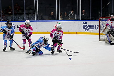 В хоккей играют не только мужчины. Всемирный женский хоккейный матч прошел в Минске