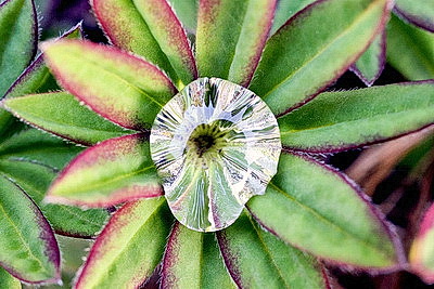 ФОТОХРОНИКА начинает новый информационный день