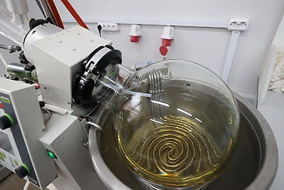 Лечение рака, стабилизация уровня сахара в крови: над чем работают белорусские ученые