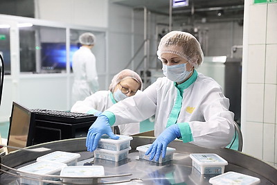 Модернизация производств, инвестиции, туризм. Ломский о точках роста Брестской области