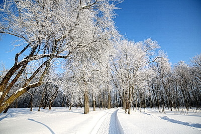 Солнечный январский день в Минске