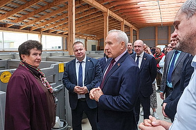 Со ставкой на модернизацию. Как развивается животноводство в Шкловском районе