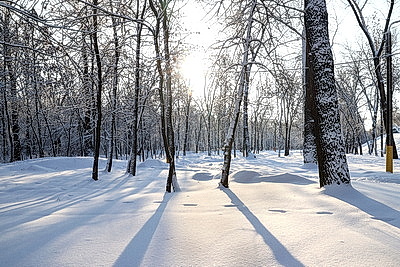 Морозный зимний день: снегопад не повод сидеть дома для активных жителей