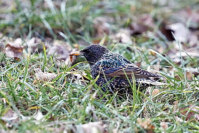 ФОТОХРОНИКА начинает новый информационный день