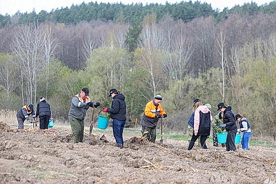 Молодой лес, обновленные улицы, цветники: Жировичи всем миром вышли на субботник
