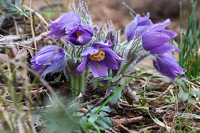 ФОТОХРОНИКА начинает новый информационный день